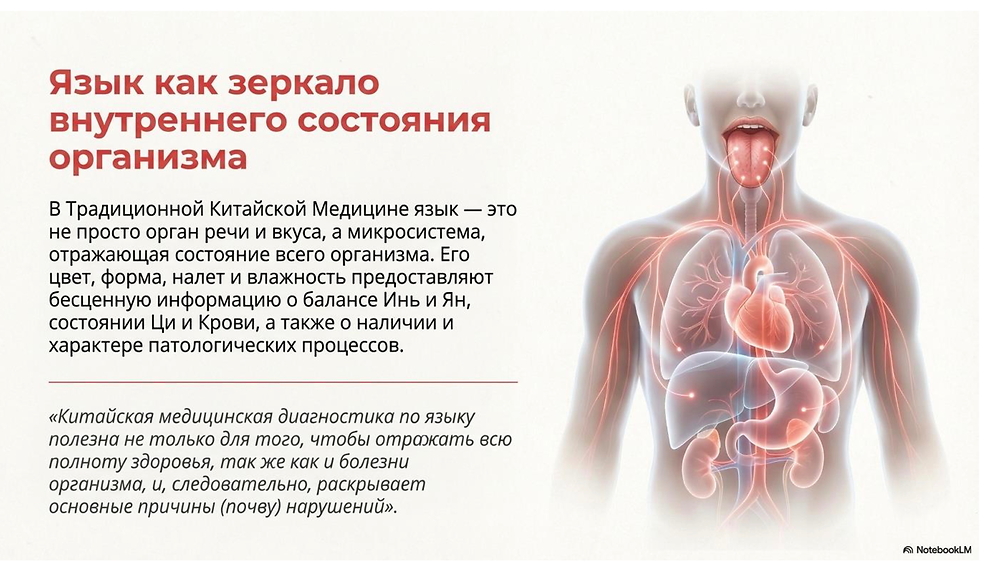 Диагностика по языку модуль 2 (печень)