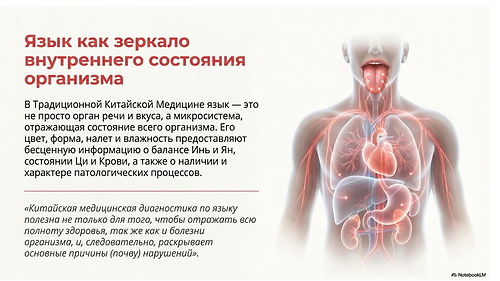 Диагностика по языку модуль 2 (печень)