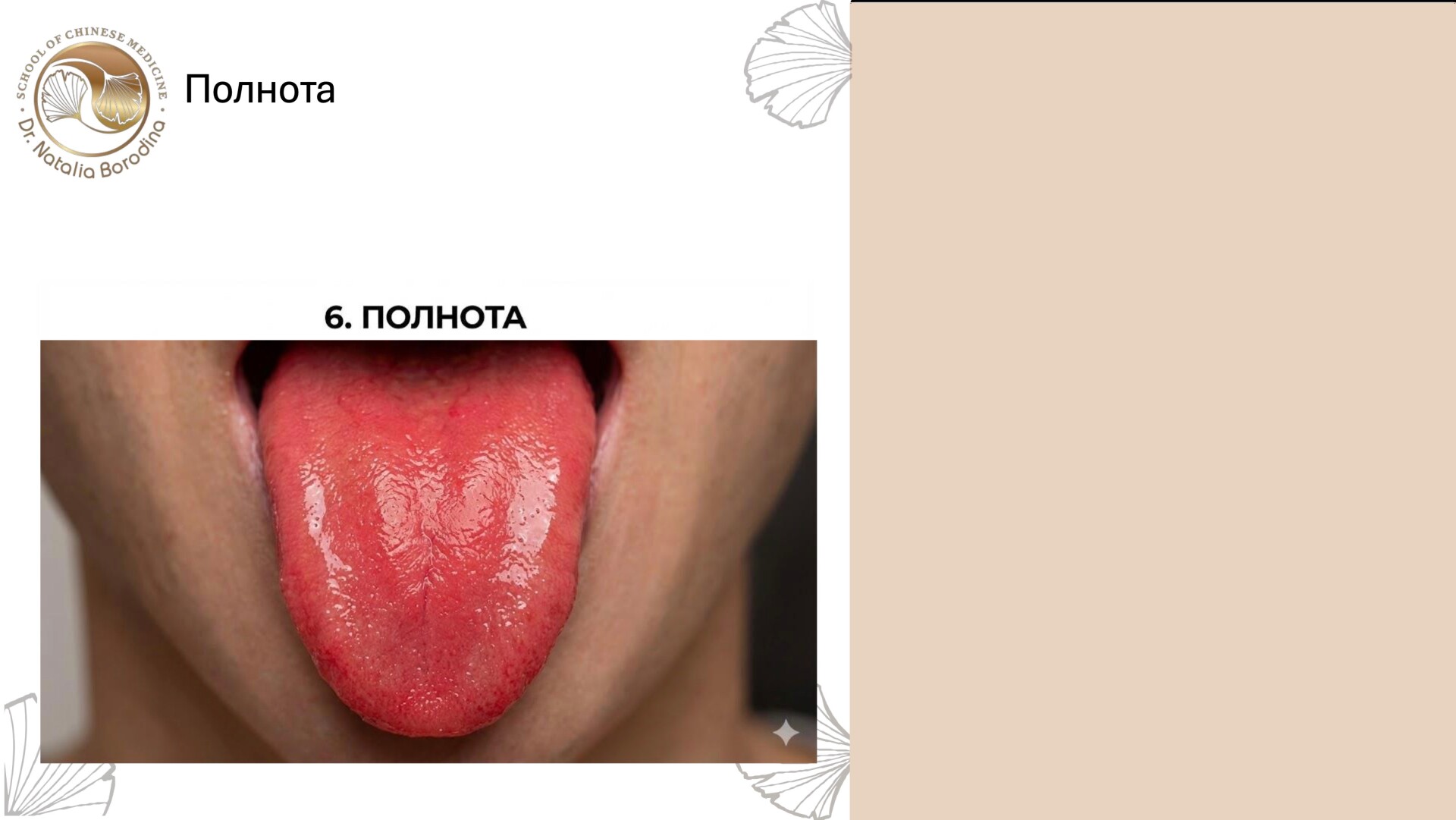 Веб встречи (модуль 1)