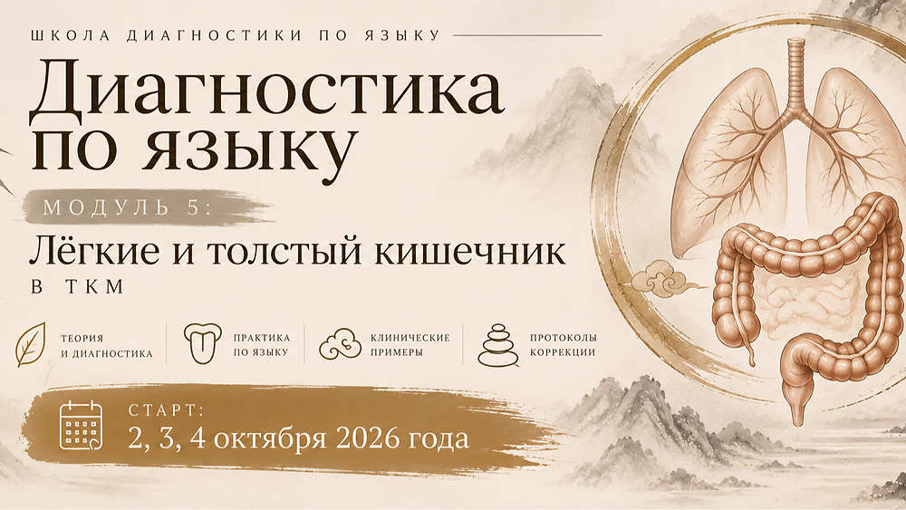 Модуль 5 'Легкие и толстый кишечник'