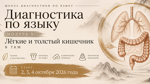 Модуль 5 'Легкие и толстый кишечник'