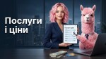 Вступ. Які послуги надавати  і скільки це коштує